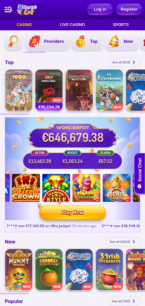 Lizenzangaben und Hinweise zur Identitätsprüfung bei RoboCat Casino